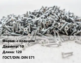 Шуруп с кольцом 10х120 ГОСТ: DIN 571
